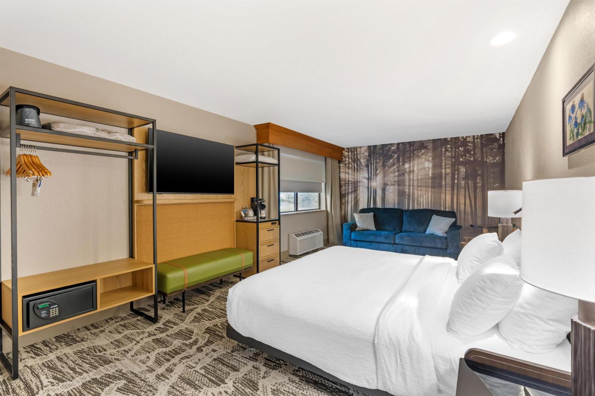 King Suite with Two Sofa Beds and Roll-In Shower - Disability Access/Non-Smoking